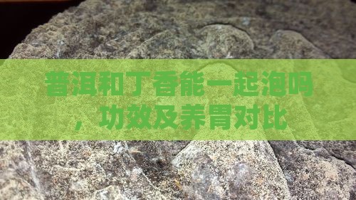 普洱和丁香能一起泡吗