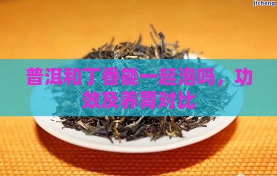 普洱和丁香能一起泡吗