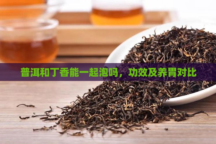 普洱和丁香能一起泡吗