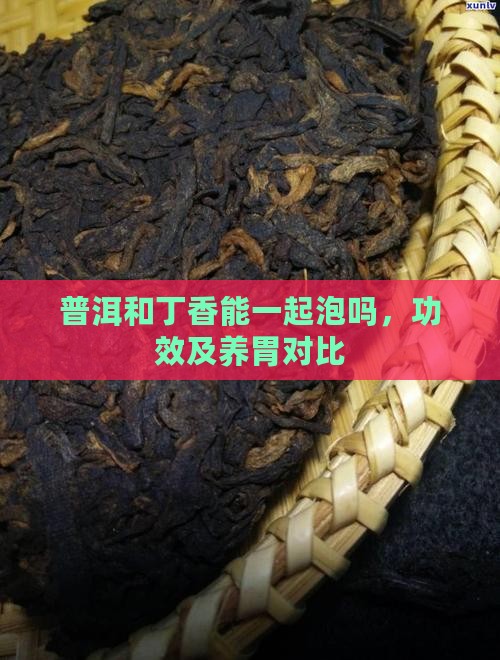 普洱和丁香能一起泡吗