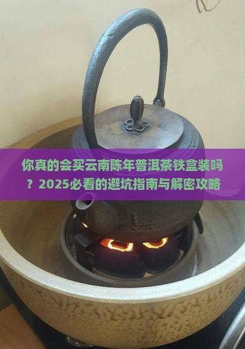 云南陈年普洱茶铁盒装