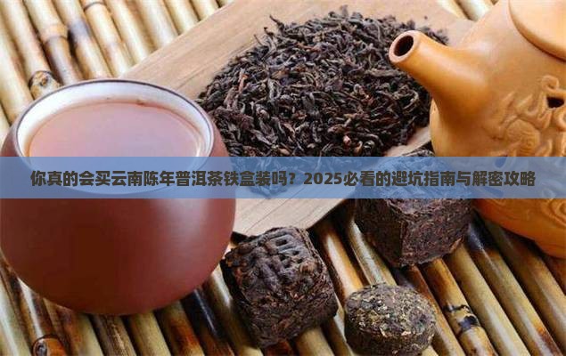 云南陈年普洱茶铁盒装