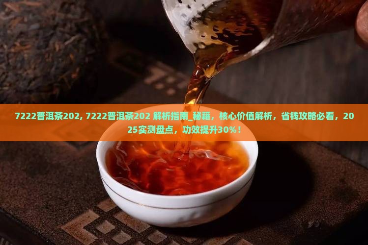 7222普洱茶202