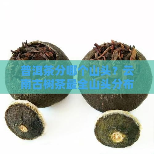 普洱茶分哪个山头