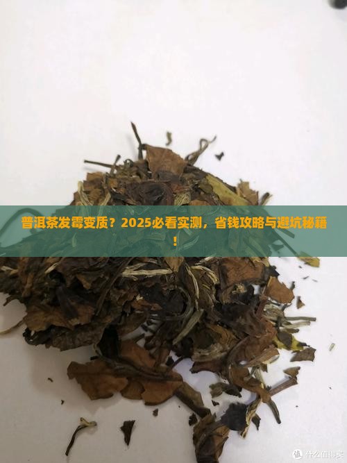 普洱茶有没有发霉变质
