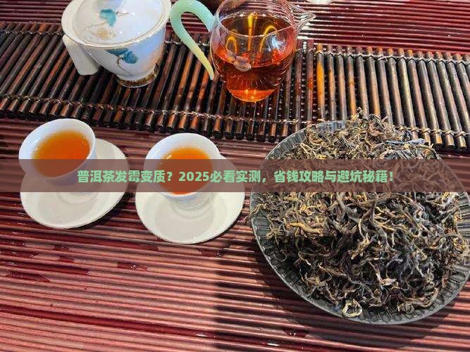 普洱茶有没有发霉变质