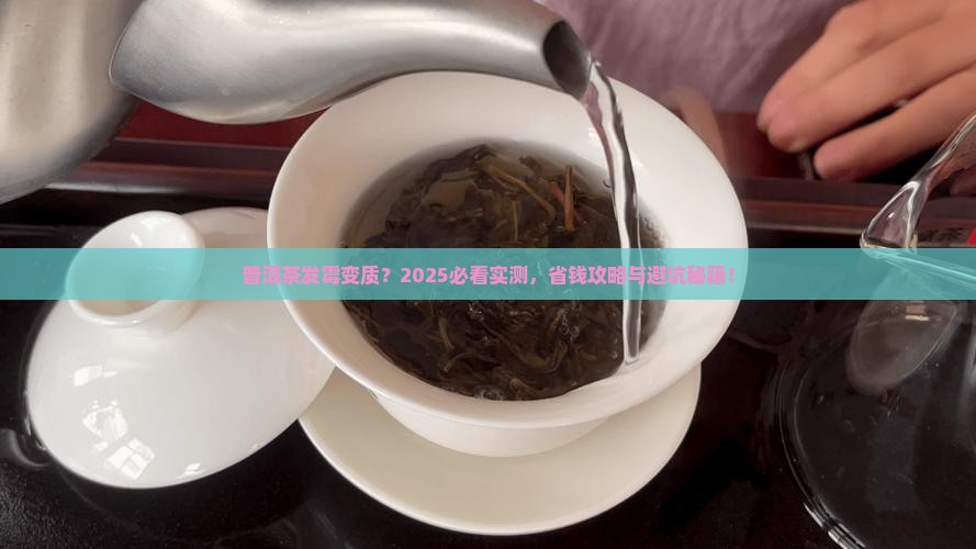 普洱茶有没有发霉变质