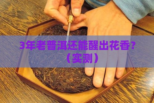 普洱茶老茶还能醒出花香吗