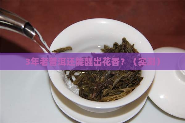 普洱茶老茶还能醒出花香吗