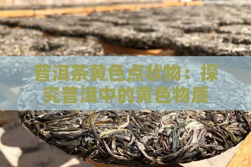 普洱茶黄色点状物