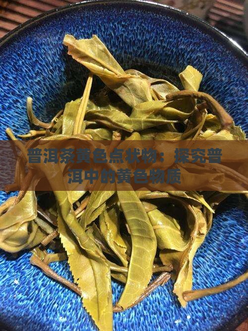 普洱茶黄色点状物