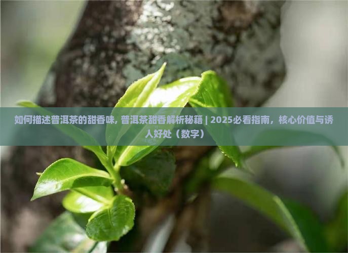 如何描述普洱茶的甜香味