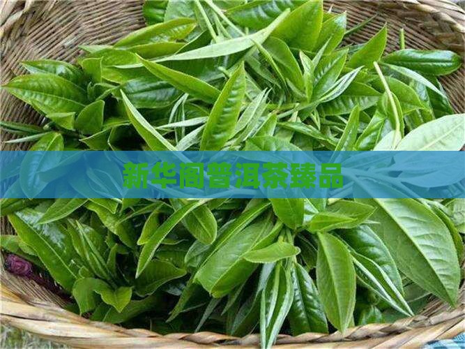 新华阁普洱茶臻品