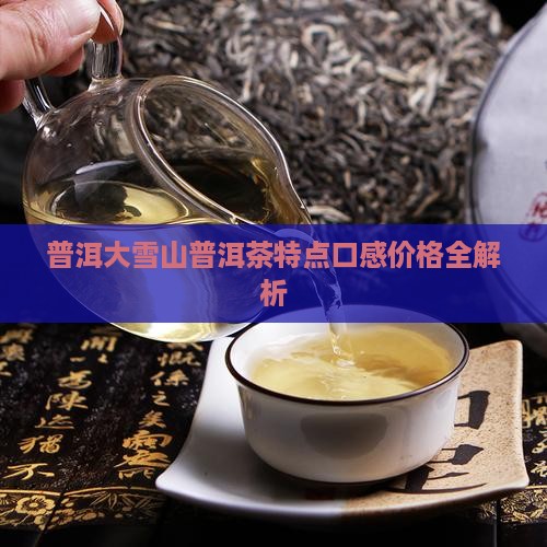大雪山普洱茶特点价格