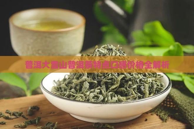 大雪山普洱茶特点价格