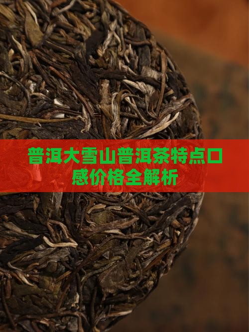 大雪山普洱茶特点价格