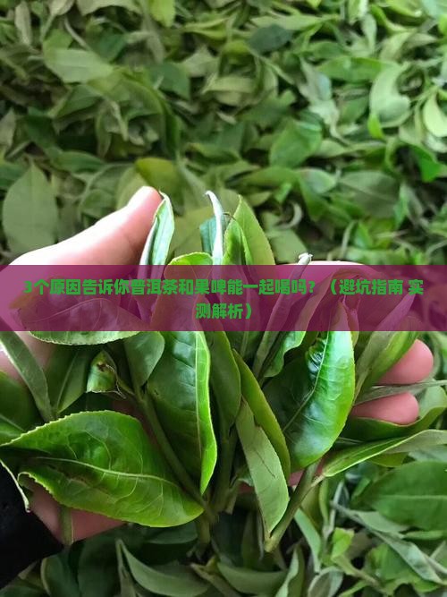 普洱茶和果啤可以一起喝吗