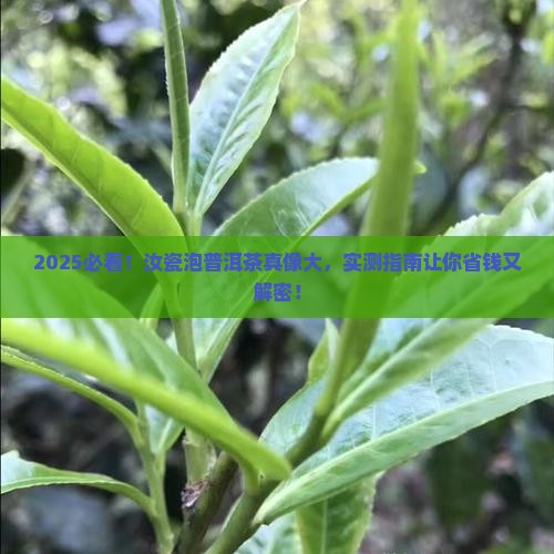 汝瓷到底能不能泡普洱茶喝