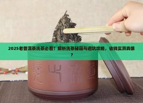 老普洱茶要洗吗