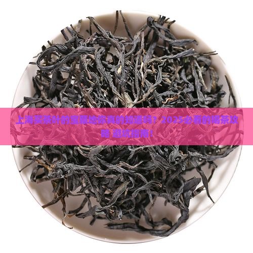 上海买茶叶的好地方