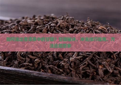 如何泡出普洱茶中的甘甜