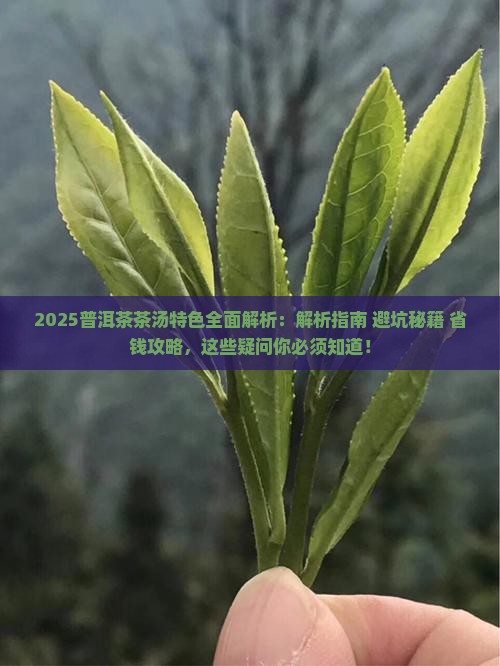 普洱茶的茶汤特色是