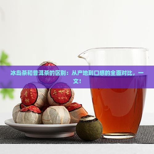 冰岛茶和普洱茶的区别