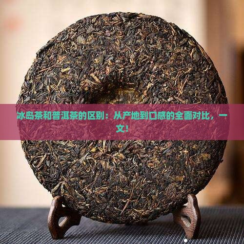 冰岛茶和普洱茶的区别