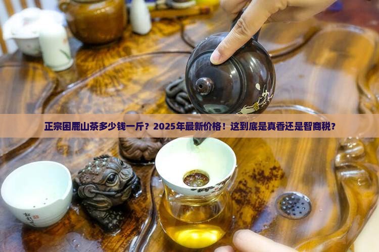 正宗困鹿山茶多少钱一斤