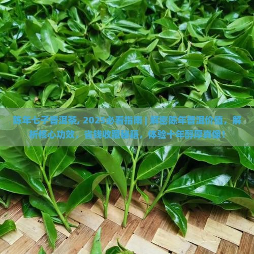 陈年七子普洱茶