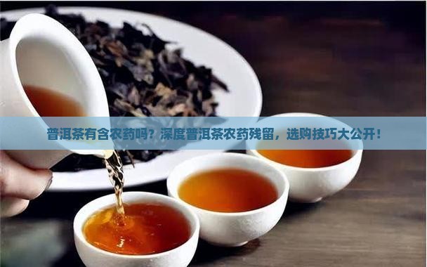 普洱茶有含农药吗