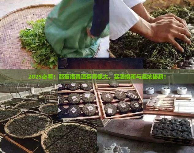 熬夜喝普洱茶有害吗