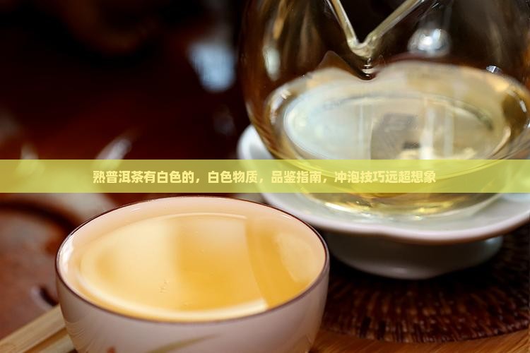 熟普洱茶有白色的