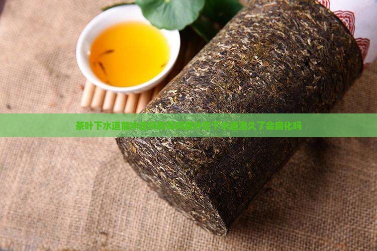 茶叶下水道能冲走吗