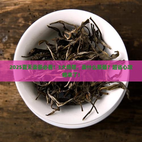 夏天什么茶卖得好