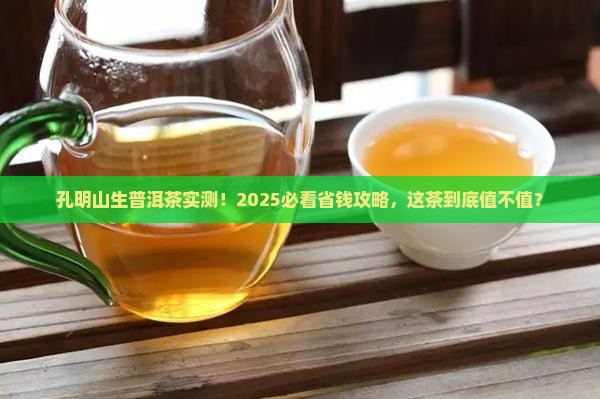 孔明山生普洱茶