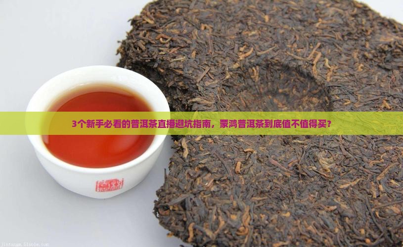 蒙鸿普洱茶直播