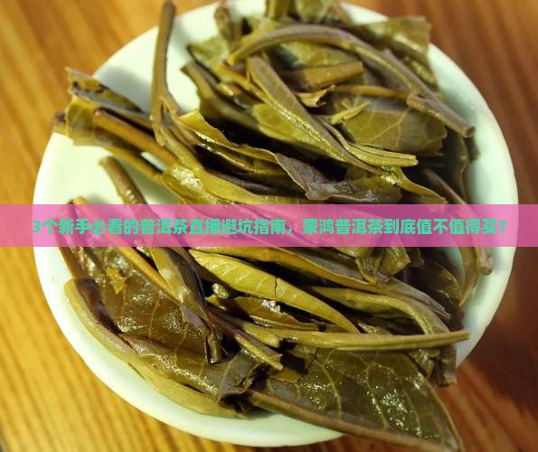 蒙鸿普洱茶直播
