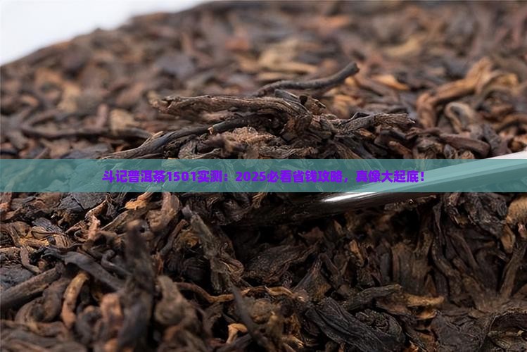 斗记普洱茶1501