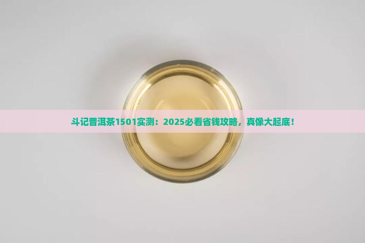 斗记普洱茶1501