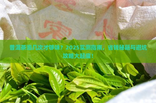 普洱茶一般泡几次