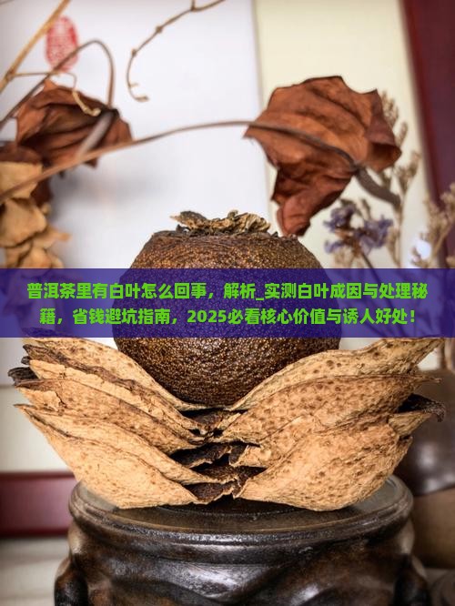 普洱茶里有白叶怎么回事