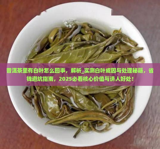 普洱茶里有白叶怎么回事