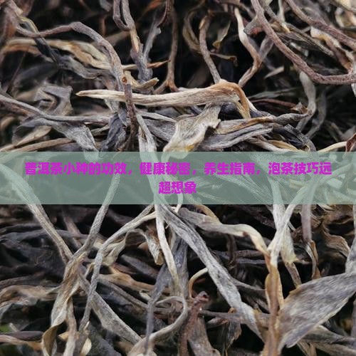 普洱茶小种的功效