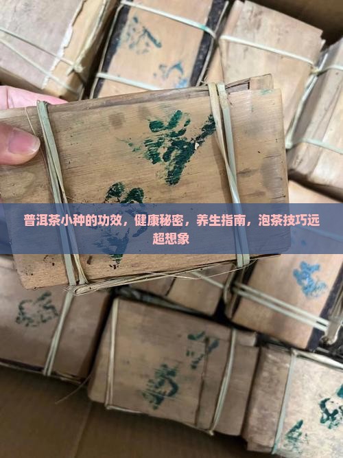 普洱茶小种的功效
