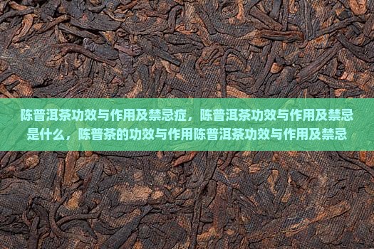 陈普洱茶功效与作用及禁忌