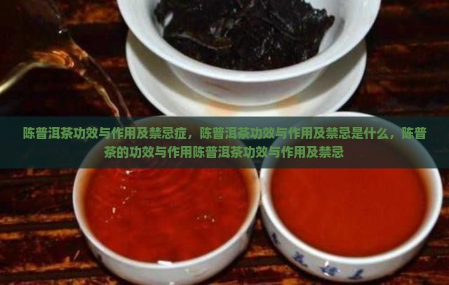 陈普洱茶功效与作用及禁忌