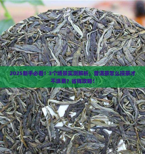 普洱茶怎么投茶