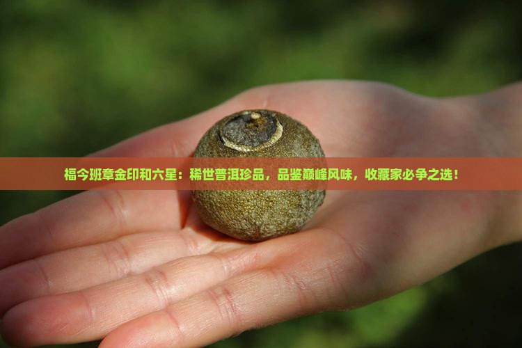 福今班章金印和六星