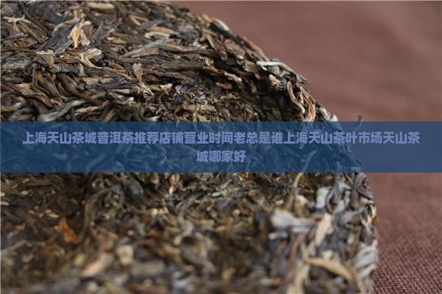 上海天山茶城普洱茶